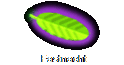 Fastnacht