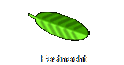 Fastnacht