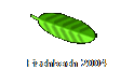Fischbach 2004 