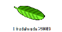 Fischbach 2009