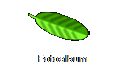 Fotoalbum