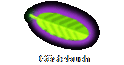 Gstebuch