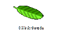 Gstebuch