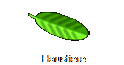 Haustiere