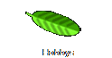 Hobbys