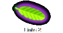 Links 2