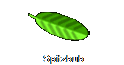 Spitzbub