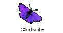 Startseite