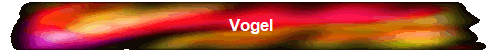 Vogel
